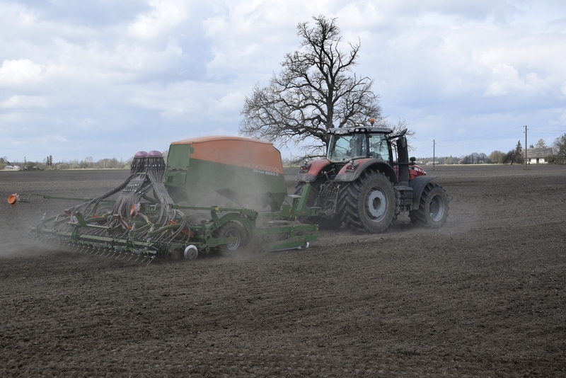 SIA «Uzvara-lauks»  vasarāju sēja sākta 19. aprīlī.
Autors: Ivars Bogdanovs