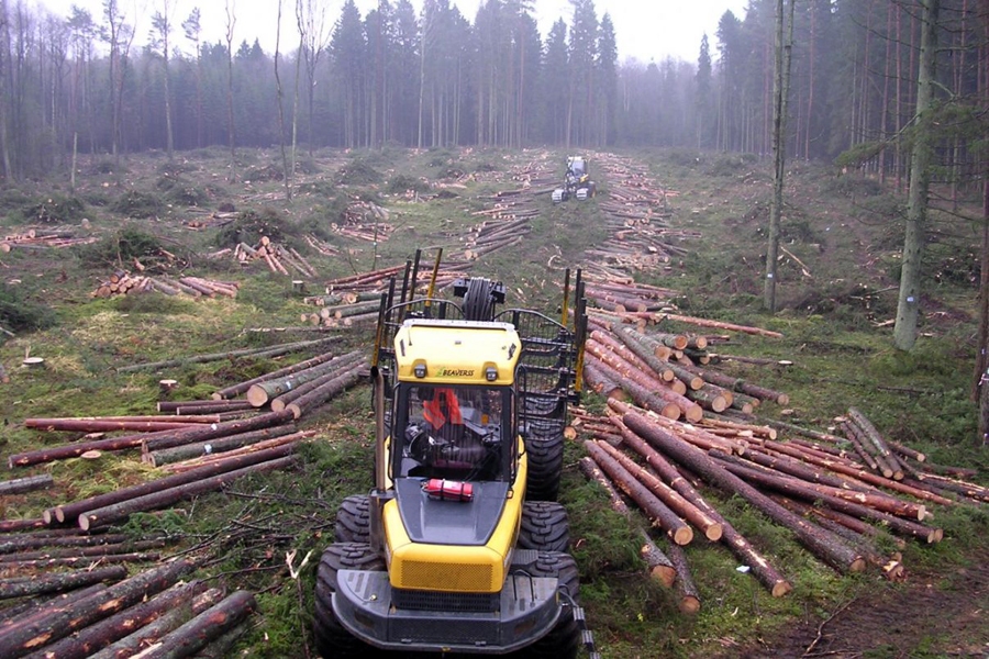 Autors: Foto no lvm.lv.