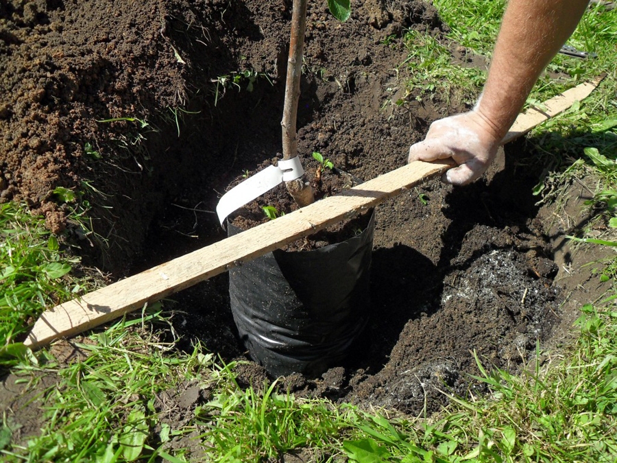 Bedres dziļumu var mērīt šādi.
Autors: no liepas.lv