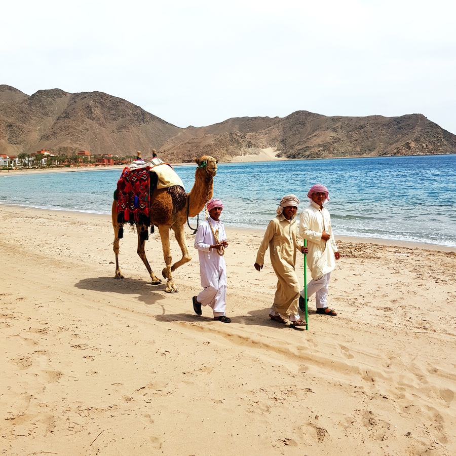 Sinaja pussalā.
Autors: Sandra Danosa