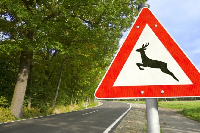 Attēlam ilustratīva nozīme.
Autors: Fotolia