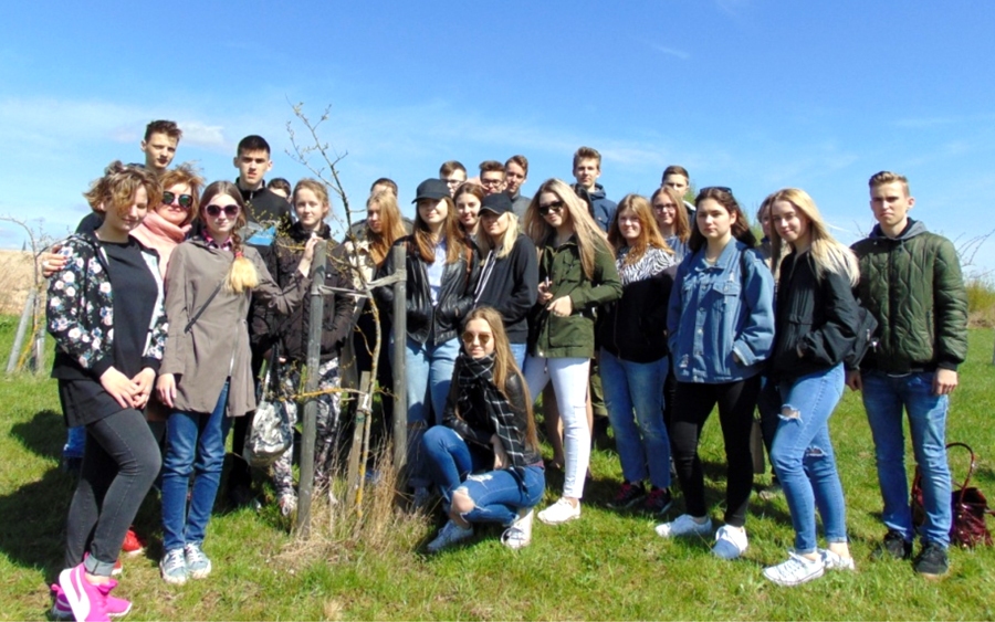 Bauskas 2. vidusskolas audzēkņi pie skolas stādīta kociņa Likteņdārzā.
Autors: no skolas arhīva