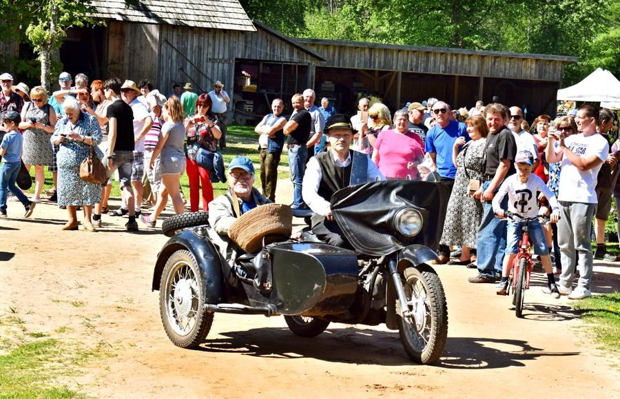 Autors: Žanna Zālīte