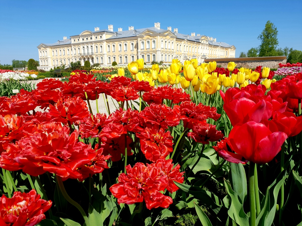 Autors: www.bauskasdzive.lv