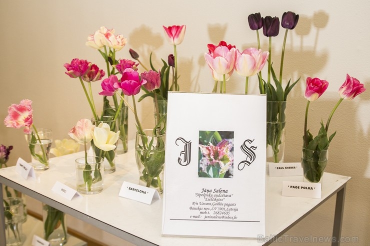 Autors: travelnews.lv