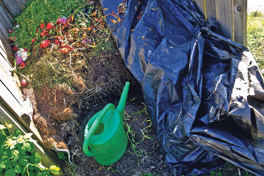 Autors: Raitis Puriņš