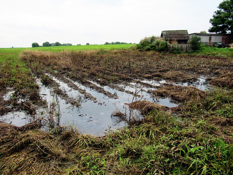 Plūdu risks nav apdrošināšanas piedāvājumā.
Autors: no lsm.lv