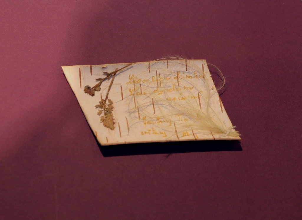 Autors: Publicitātes foto.