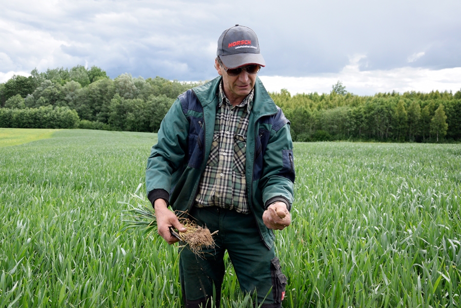 Gerhards Odinga pēta labības sakņu sistēmu un mitruma daudzumu.
Autors: Ivars Bogdanovs