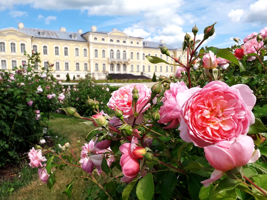 Autors: Publicitātes foto