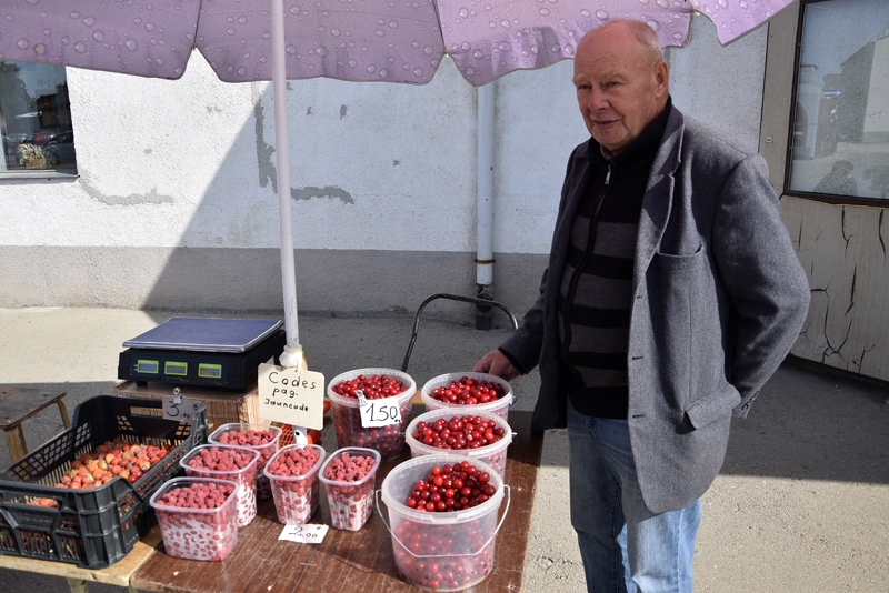 Autors: Ivars Bogdanovs