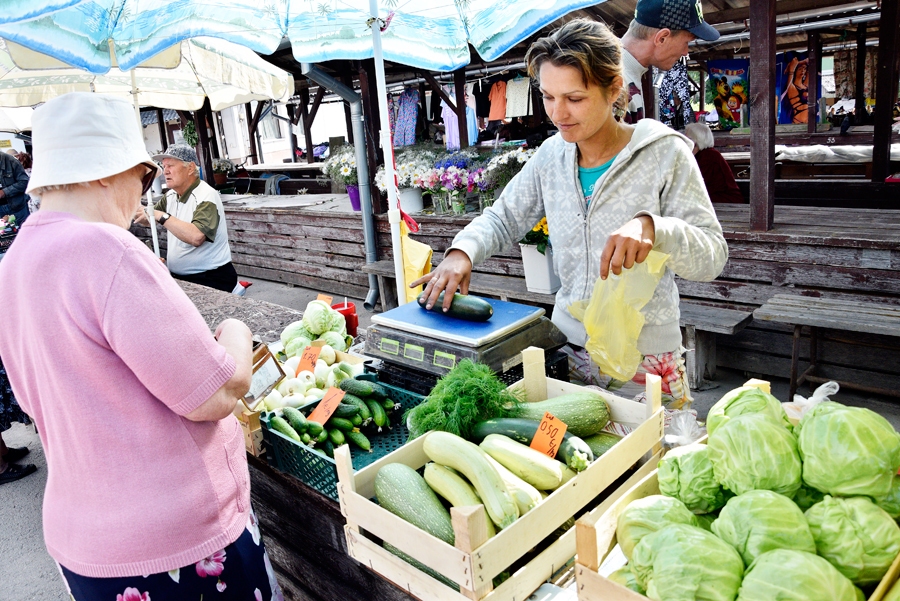 Bauskas novada Mežotnes pagasta Strēlnieku iedzīvotāja Inga atklāj, ka dienā savā piemājas dārzā nolasa ap desmit kilogramiem kabaču.
Autors: Ivars Bogdanovs
