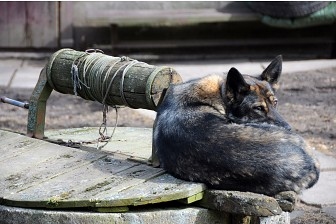 Fotoattēlam ilustratīva nozīme.
Autors: liepajniekiem.lv