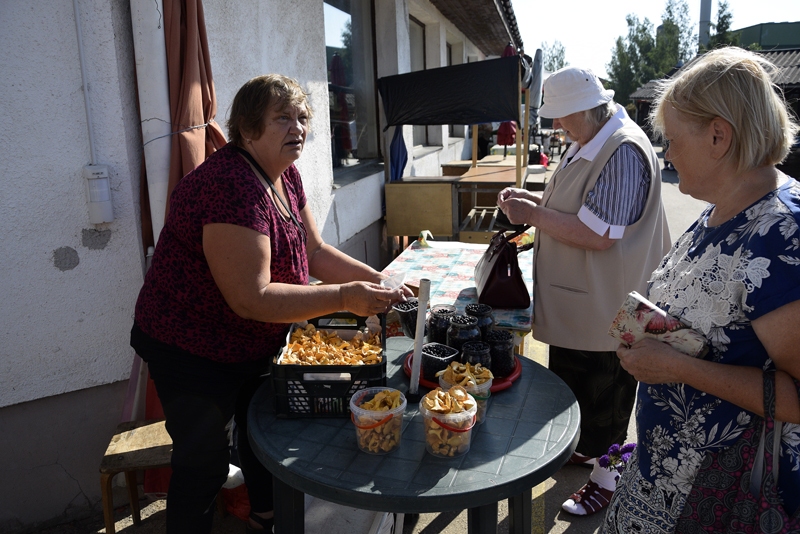 Vecumnieku novada iedzīvotāja Rita uz tirgu bija atvedusi četras kastes ar gailenēm.
Autors: Ivars Bogdanovs