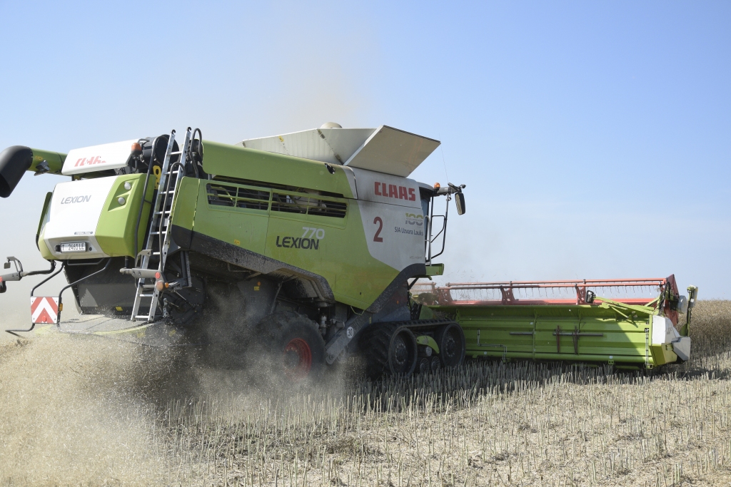 SIA «Uzvara–lauks» nokulta puse ziemas rapšu sējumu, kuru kopplatība ir tūkstoš četrsimt hektāru. Raža ap trim tonnām no hektāra.
Autors: Ivars Bogdanovs