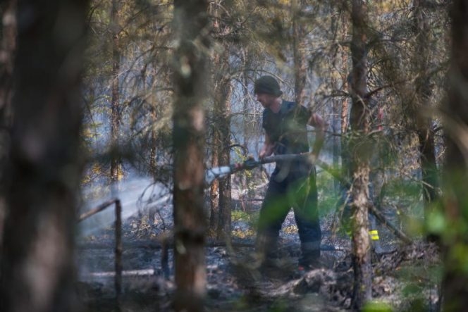 Autors: Artūrs Andrejs Blomkalns, Valsts policija