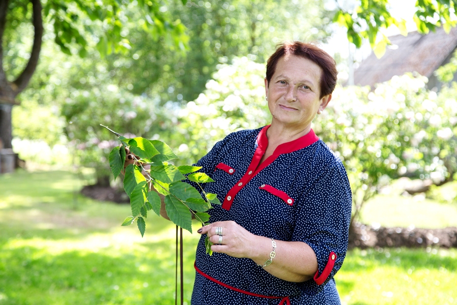 Vanda Gronska ar iejūtību stāsta par Paula Sukatnieka mūžu un atklāj selekcionāra dārza īpatnības.
Autors: no «Apsīšu» krājuma