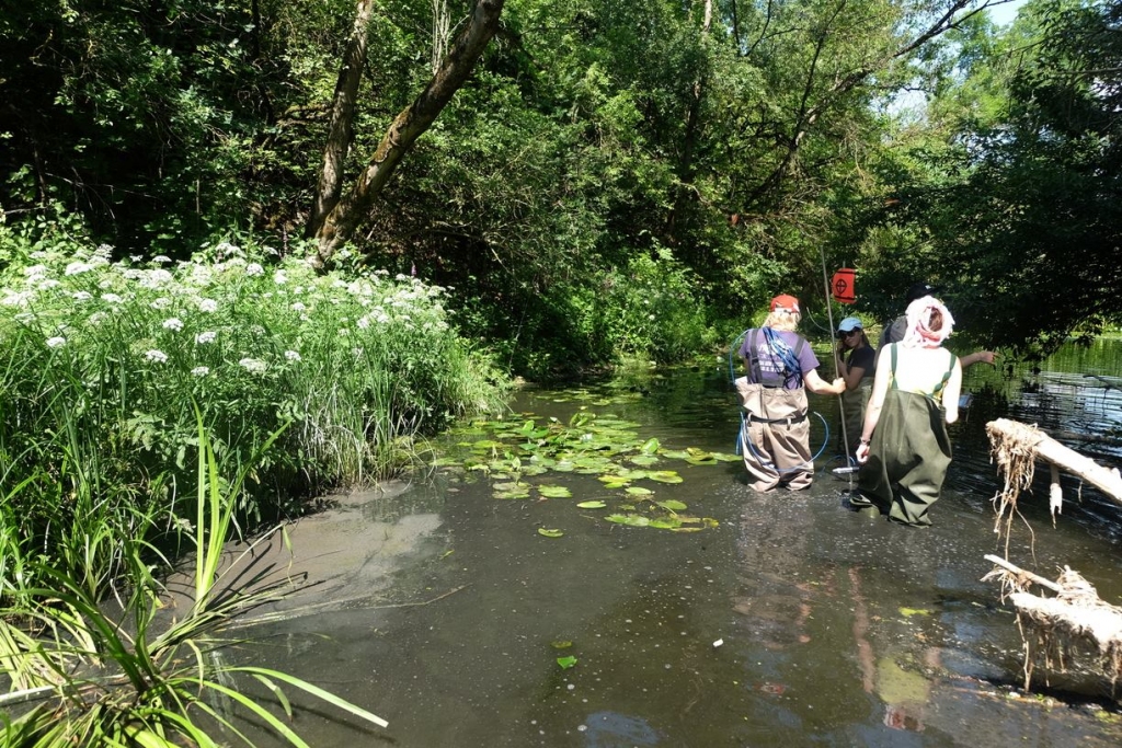 Foto no notikuma vietas.
Autors: LVĢMC/Facebook