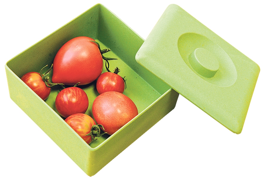 Autors: Raitis Puriņš