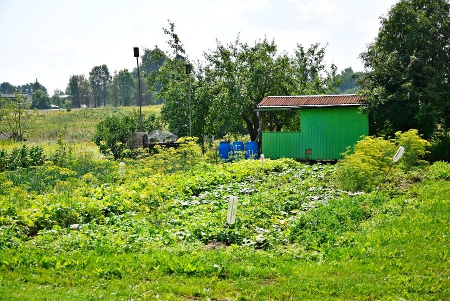 Autors: Ivars Bogdanovs