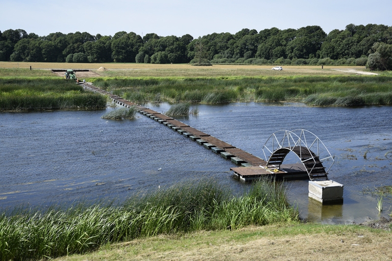 Autors: Ivars Bogdanovs