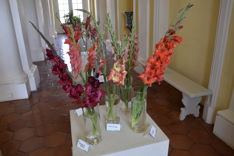 Autors: Ivars Bogdanovs