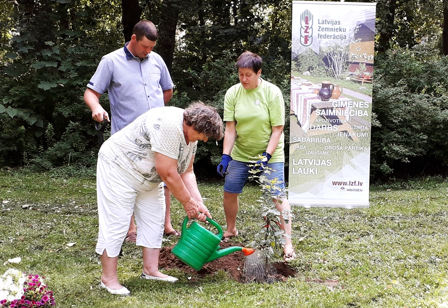 Ozolu stāda Ruta Āboliņa (ar lejkannu), Juris Kuzma, Agita Hauka.
Autors: no LZF arhīva