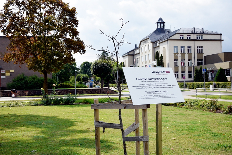 Stāv vientulis ozols, pa pusei jau nokaltis; par vienaldzību tas stāsta, ko Bauskā pieredzējis.
Autors: Ivars Bogdanovs