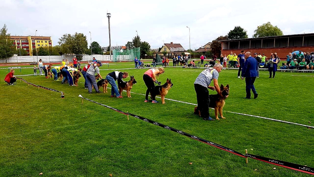 Autors: www.bauskasdzive.lv