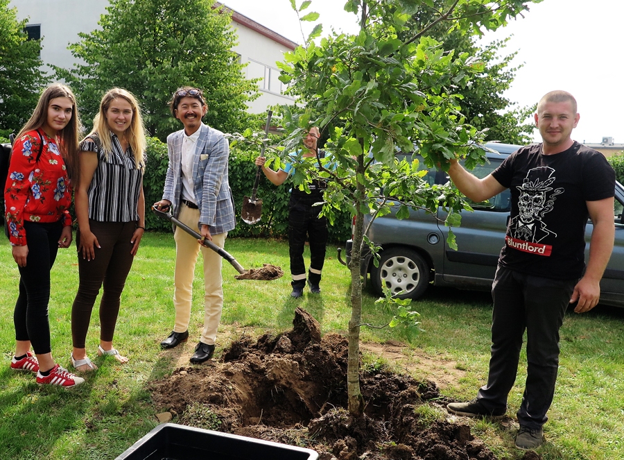 Laukumā netālu no Bauskas slimnīcas turpmāk zaļos miera ozols. To kopā ar Bauskas jauniešiem iestādīja miera vēstnesis Juji Mijata.
Autors: Artūrs Dulbe