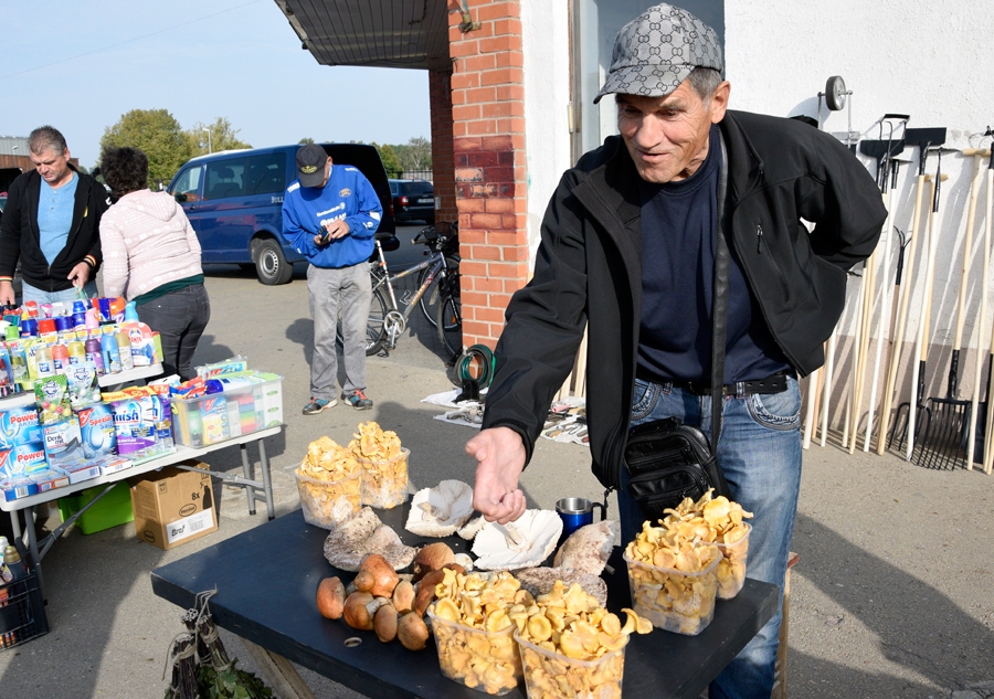 Guntars Jaksts biežāk sēņo Bārbeles puses mežos.
Autors: Ivars Bogdanovs