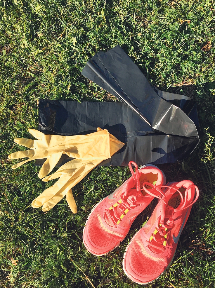 Lai nodarbotos ar «plogingu», nevajag daudz – skriešanas apavus, atkritumu maisu un cimdus.
Autors: Dainis Ģelzis