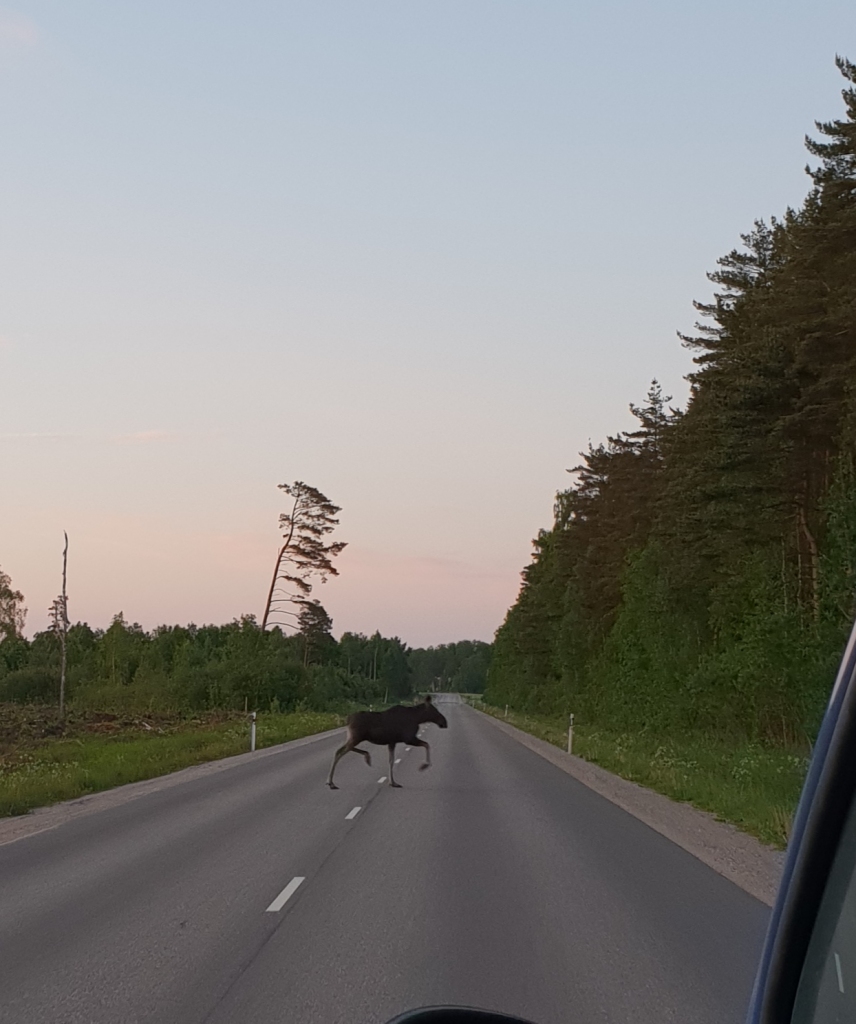 Autors: www.bauskasdzive.lv