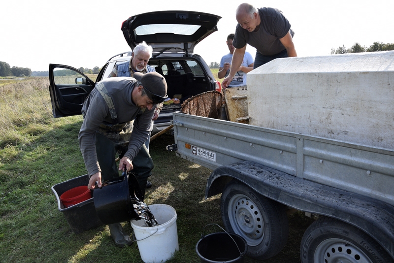 Autors: Ivars Bogdanovs