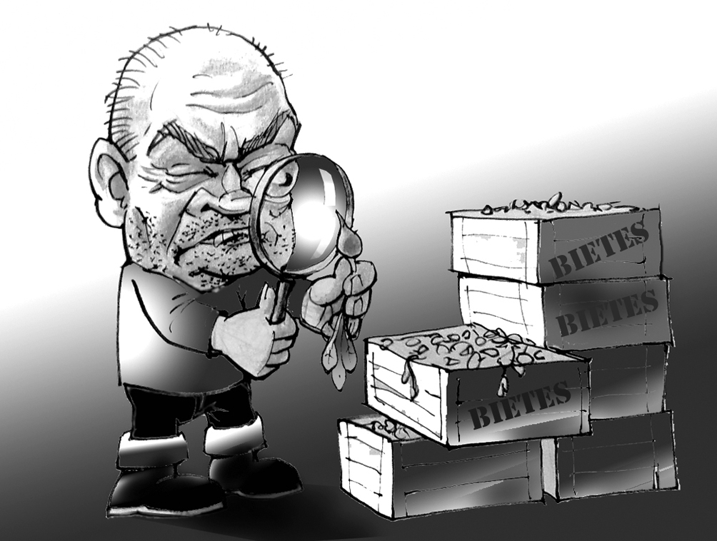 SLAVĒTA ZEME UN TĀS KOPĒJI! FAKTS: rīt, 29. septembrī, Miķeļdiena, arī ražas svētki, arī rudens saulgrieži, kad vasaras audzējumam jābūt zem jumta un zemkopji var vērtēt guvumu – visu, kas virs un zem zemes izaudzis.
Kas tas par dīvainu spēku –/ Pasauli samīļot spētu –,/ Uz Zemes kāds vienmēr karo,/ Bet viņa mūs tik un tā baro./ Šķita, mūs piebeigs sausums,/ Zemnieka solī bij’ gausums./ Zemgales druvās, par spīti,/ Uzausa spirgtāki rīti./ Ābolu pilnas kastes,/ Nevis cik kaķim uz astes,/ Ķirbi nu zeltīto svērs,/ Tupeņus apcirkņos bērs./ Miķelis priecīgs par ražu,/ Ziema pienāks bez bažu,/ Godu viņš zemkopjiem atdos/ Rudens saulgriežos savos.
Autors: Zīmējums – Vilnis Bulavs, rīmes – Daina Ziemele