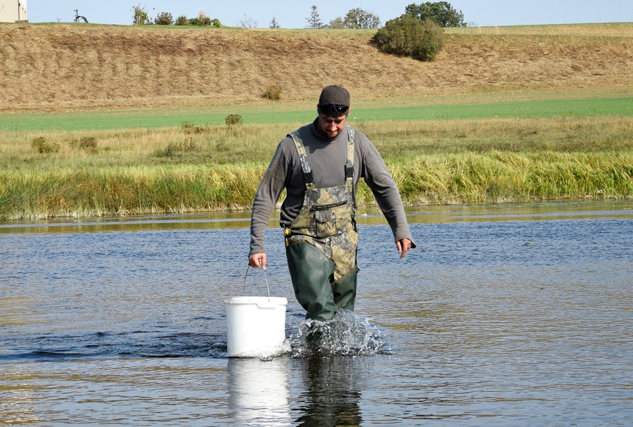Artis Dzelzkalējs, būdams cītīgs makšķernieks, arī pats piedalījās ālantu ielaišanā Lielupē.
Autors: Ivars Bogdanovs