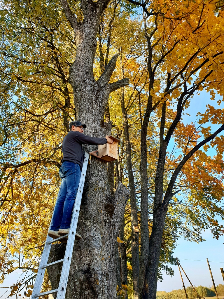 Autors: www.bauskasdzive.lv