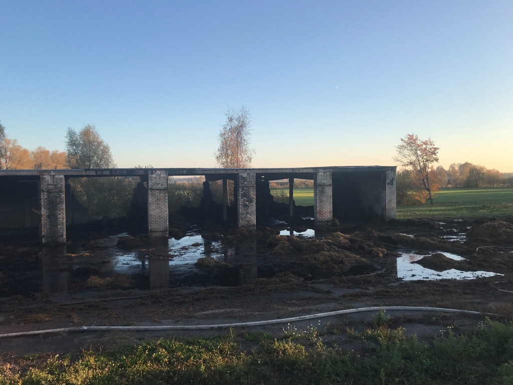 Autors: Aculiecinieka foto.