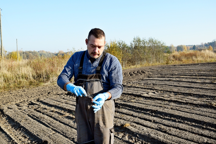 Nikolajs Maikūns novērtē nākamā gada ražas izredzes.
Autors: Māris Krūmiņš