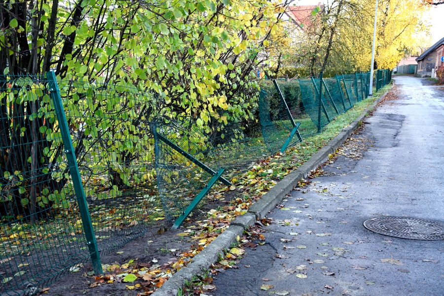 «Pasaulītes» žoga visi 167 metri ir pagalam.
Autors: Ivars Bogdanovs