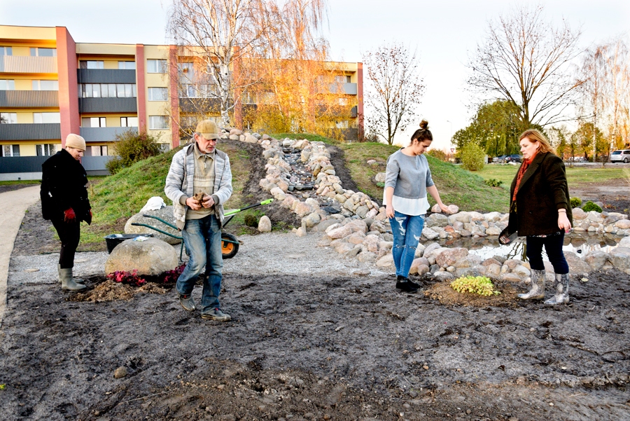 Apstādījumus pie mākslīgā strauta veido Rita Lejniece (no kreisās), Nikolajs Kirilko, Keita Luīza Muceniece un Sandra Ķisele.
Autors: Ivars Bogdanovs