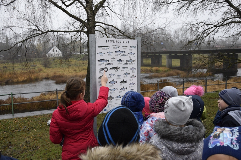 Autors: Ivars Bogdanovs