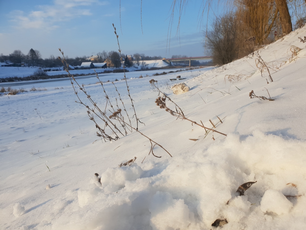 Autors: www.bauskasdzive.lv