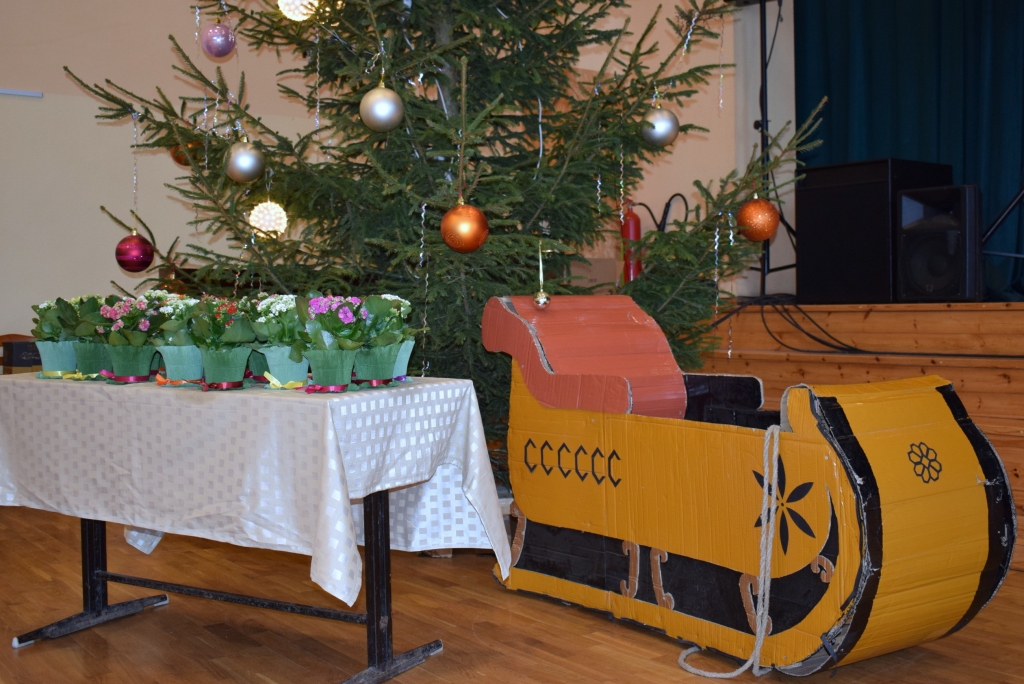 Autors: Žanna Zālīte