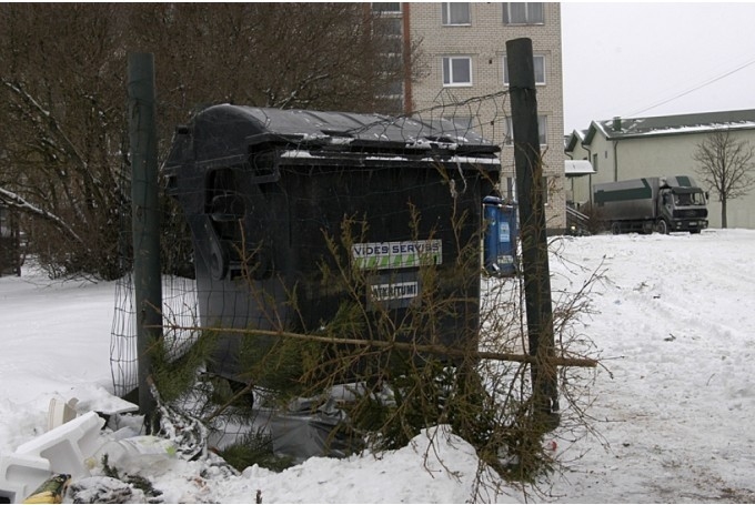 Autors: www.bauskasdzive.lv