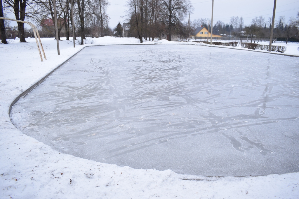Autors: Žanna Zālīte