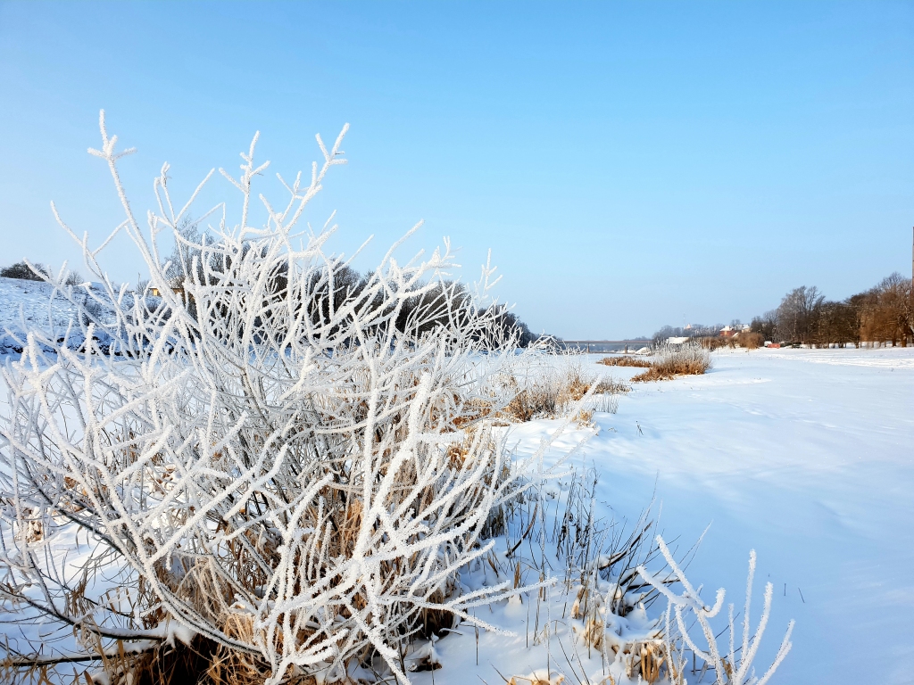 Autors: www.bauskasdzive.lv