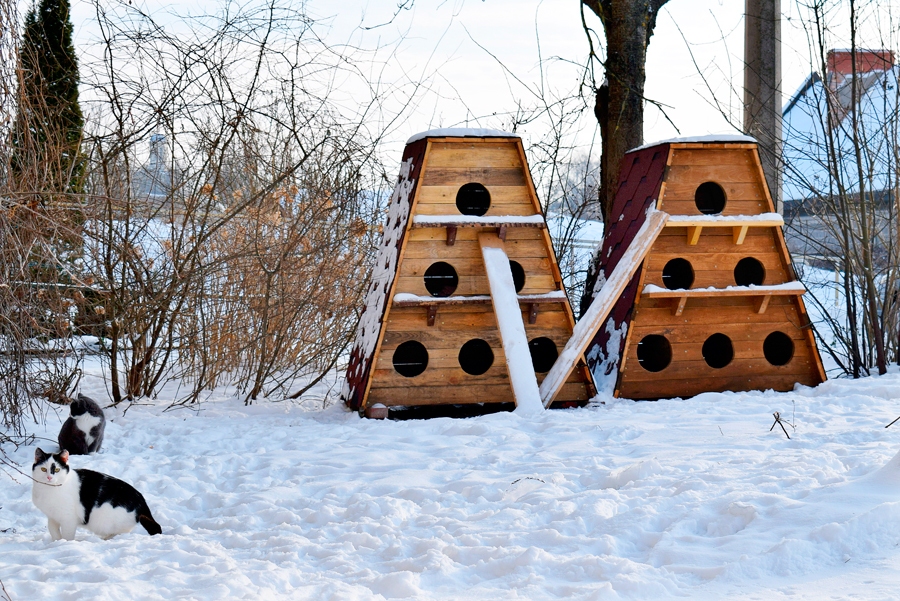 Kaķu namiņi pagalmu minčiem ļauj patverties no lietus, vēja un aukstuma.
Autors: Žanna Zālīte