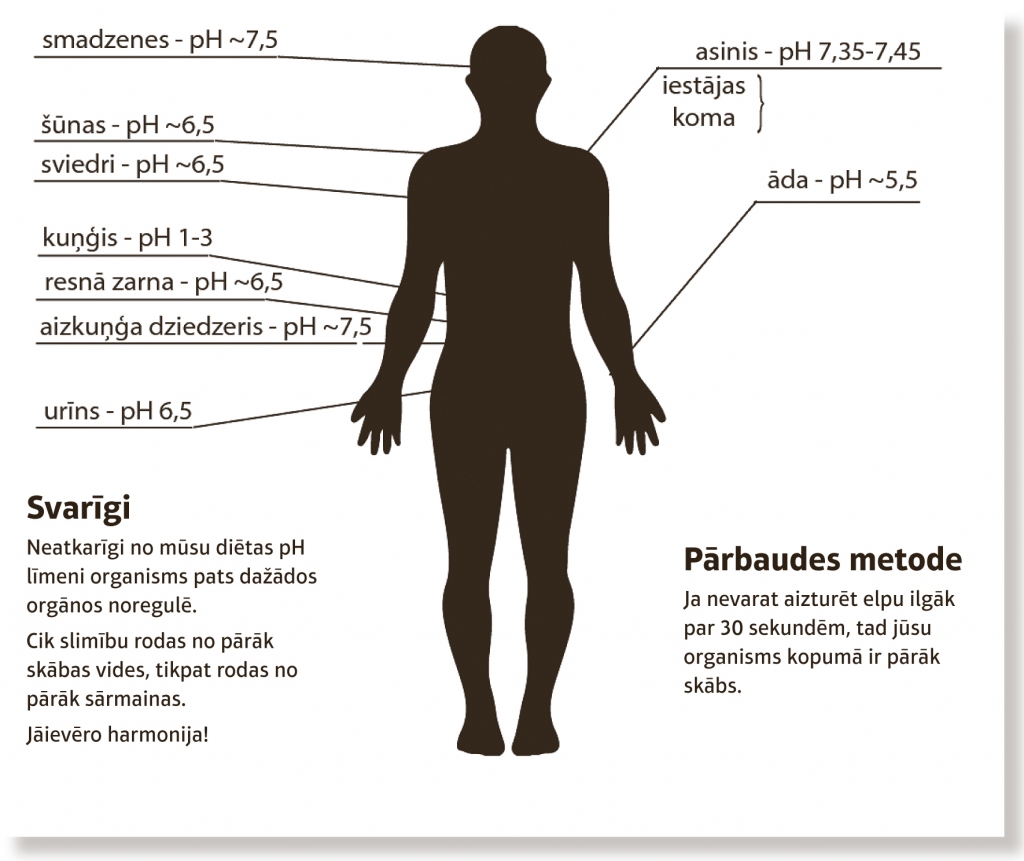 Dažādos mūsu ķermeņa orgānos pH ir atšķirīgs, viszemākais – kuņģī, jo tam ir jāspēj pārstrādāt barību un iznīcināt organismam bīstamās baktērijas.