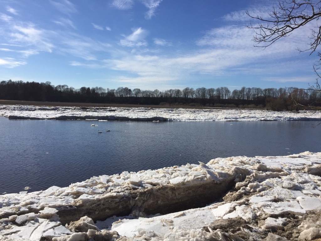 Lielupe.
Autors: www.bauskasdzive.lv